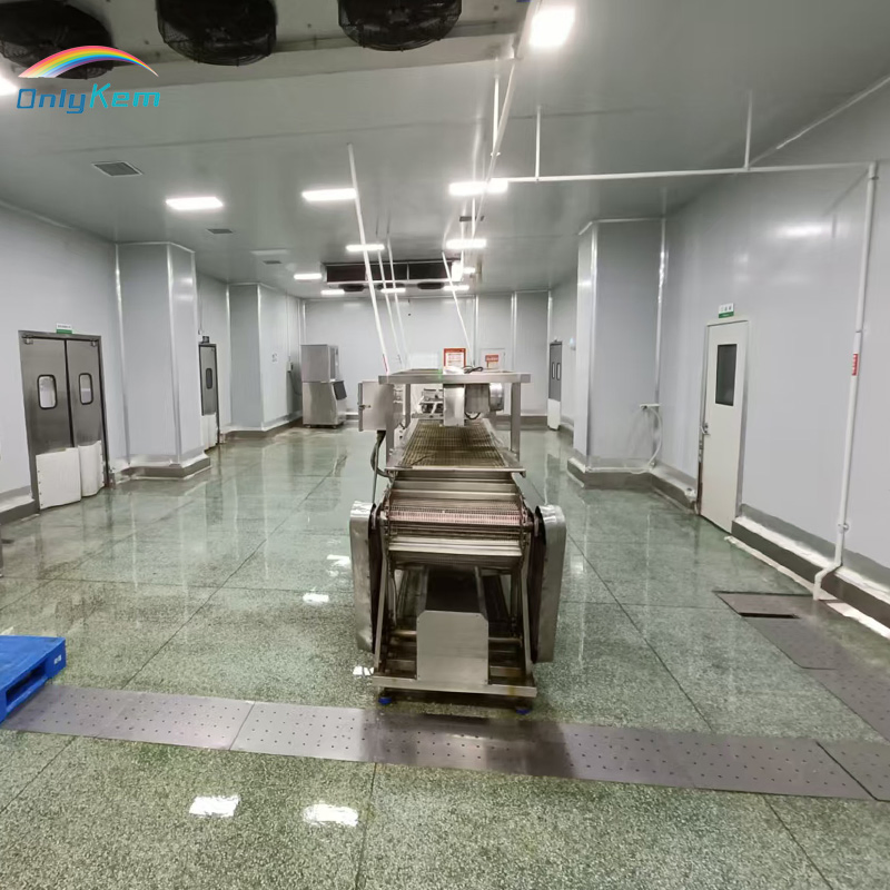 Customized Large Cold Room Storage Walk in Blast Freezer Room for Meat