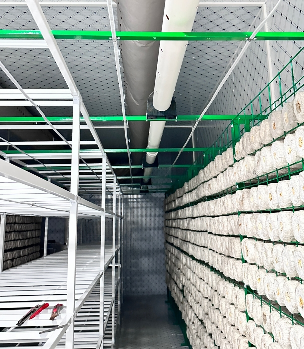 Walk in Cooler Mushroom Growing Room Mushrooms Freshness Cold Room