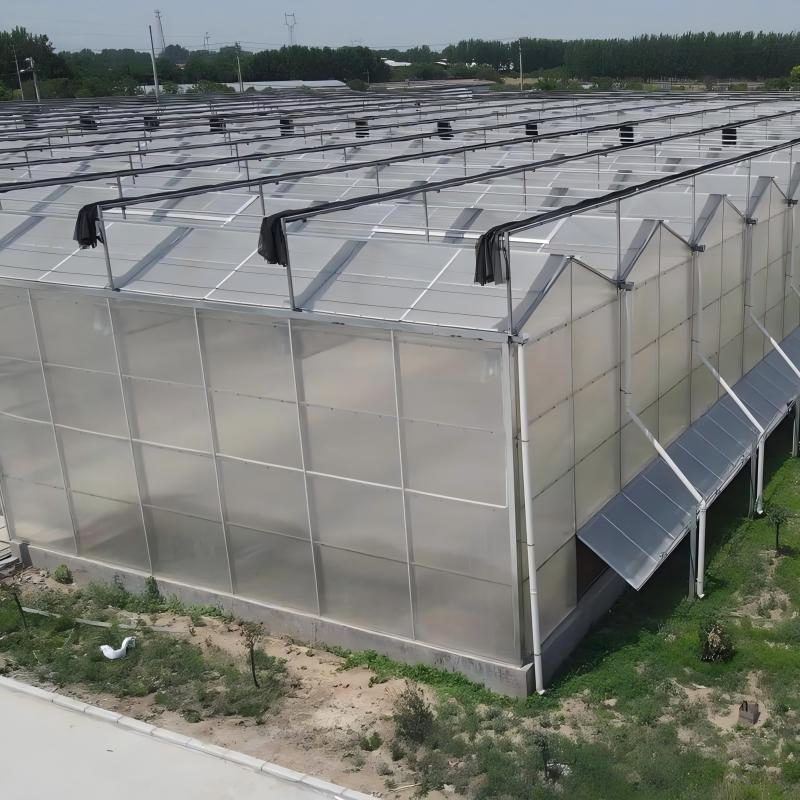 Lightweight FRP Clear Roofing Sheets Fiberglass Reinforced Plastic Transparent Solar Panel Roof Tile with Customized Color