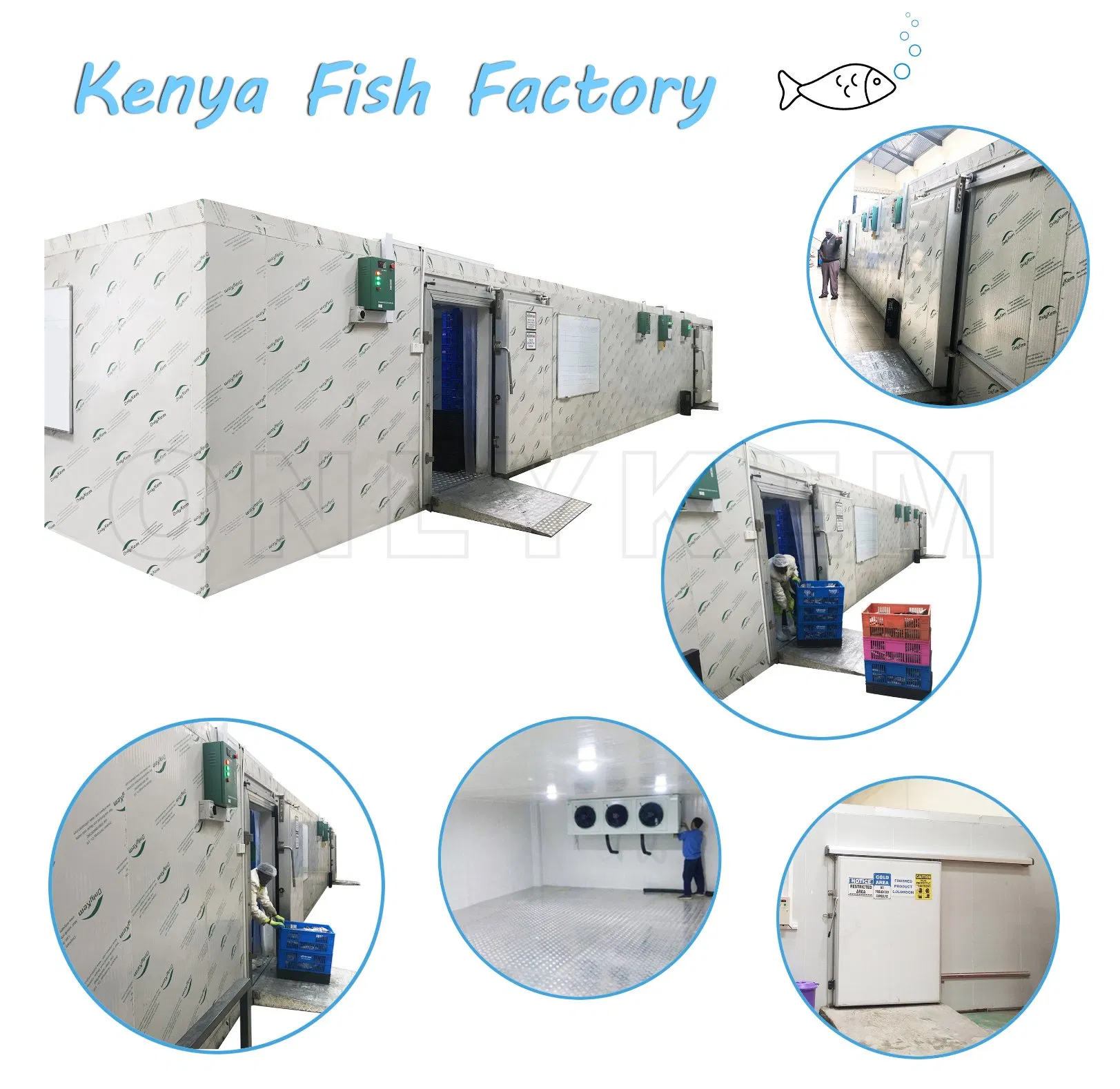 Cold Storage High Efficiency Walk in Freezer Blast Freezer Room for Fish