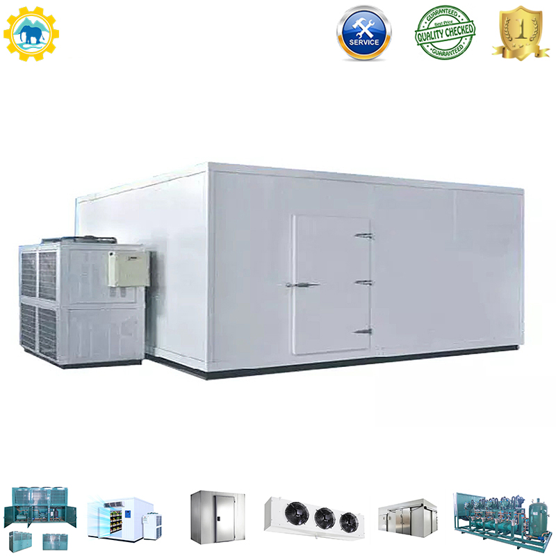 Fruit Fish Storage Walk in Freezer Solar Power Cold Room