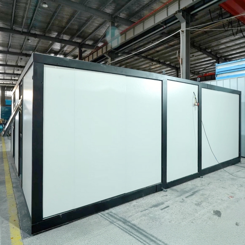 High-Quality 29㎡ Modular building Full Transparent Floor‑to‑Ceiling Glass Wall Expandable Container House for Commercial Office and Workspace Manufacturer, Factories