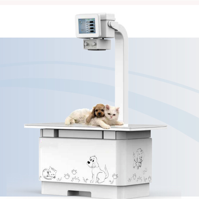 Máquina de rayos X veterinaria Máquina de rayos X para animales para veterinarios