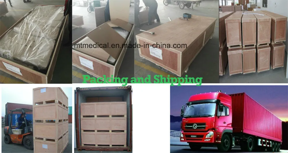 Paquete de Exportación