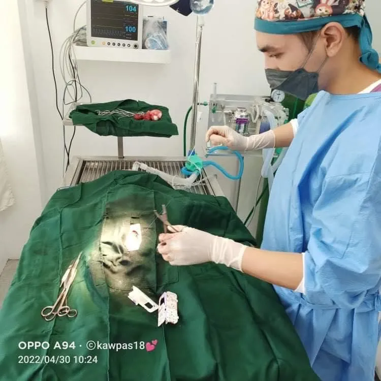 Equipo Veterinario Anestesia Vaporizador