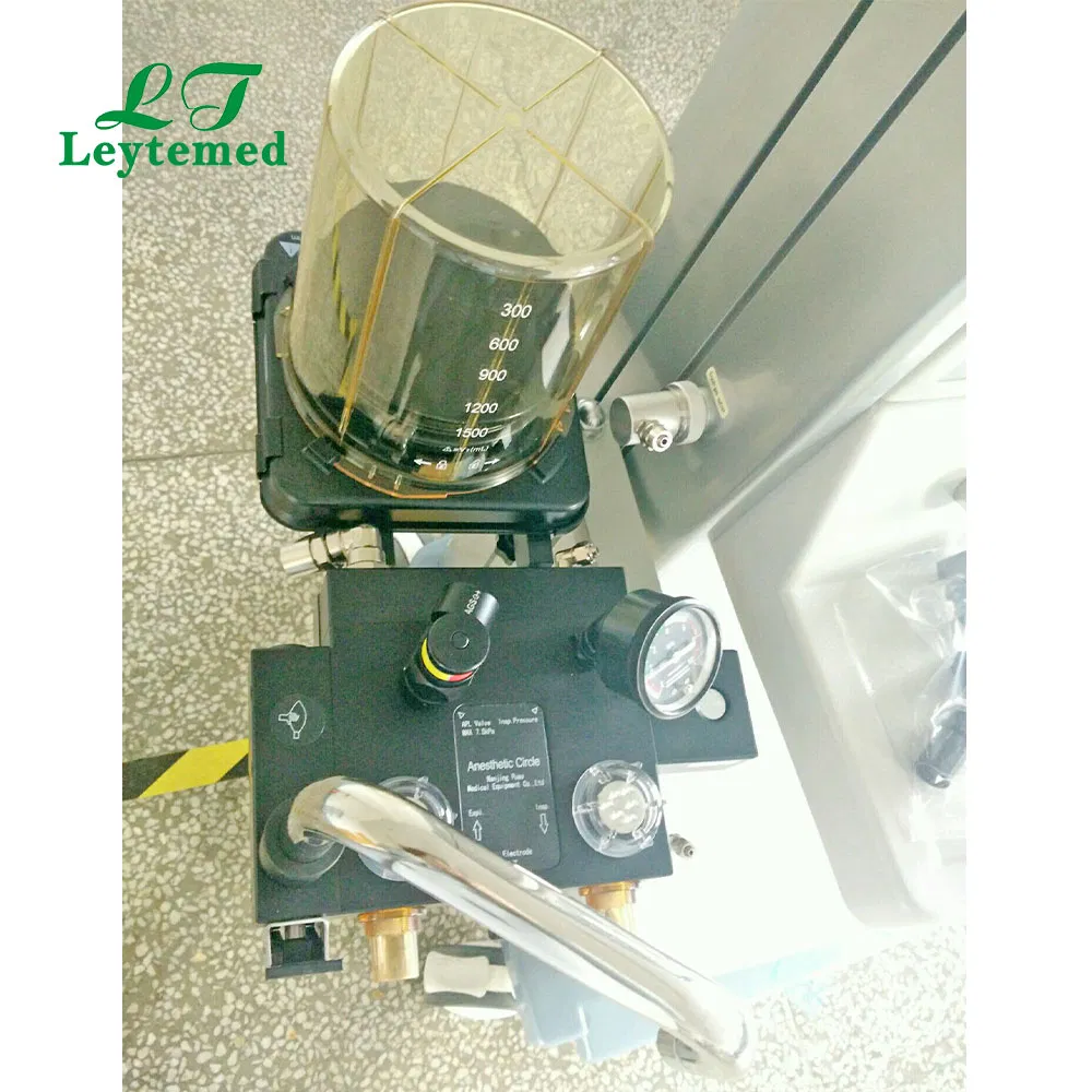 Ltsa12 Vista 5