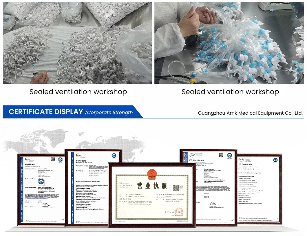 Sistema Fecal Vista Lateral