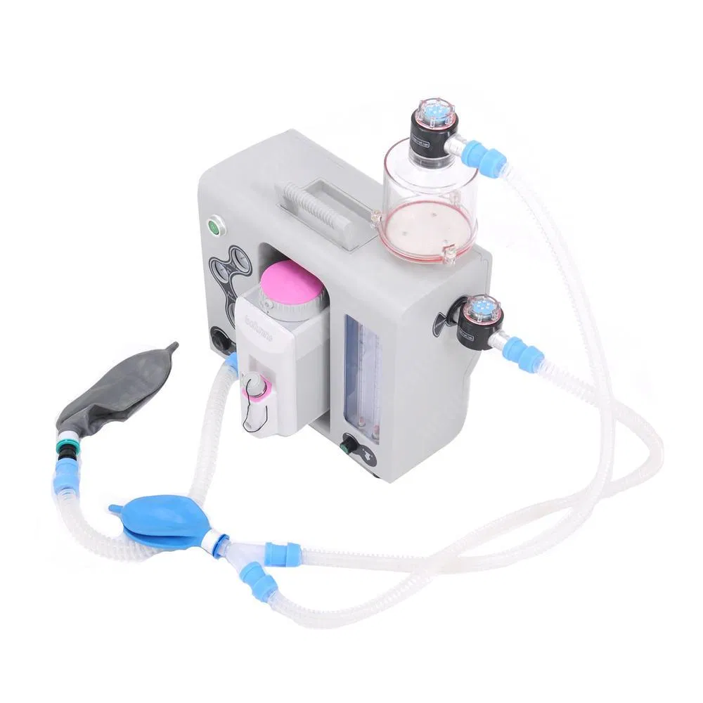 Máquina de anestesia para hospital veterinario, equipo portátil de operación, anestesia