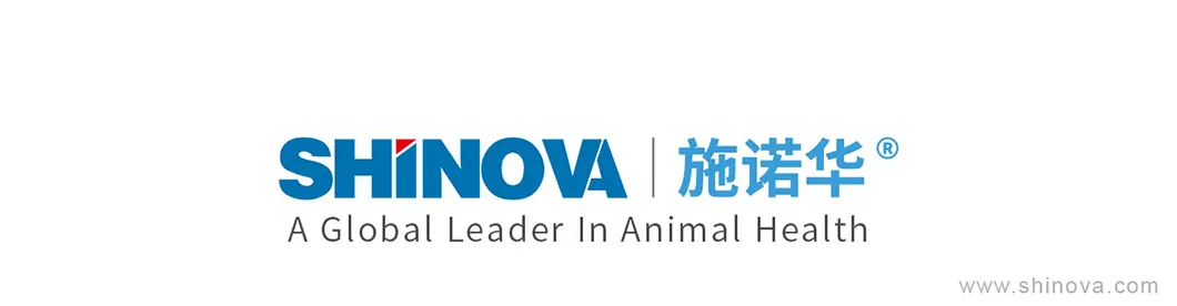Carro de Hospital Veterinario Anecart-a Máquina de Anestesia Portátil