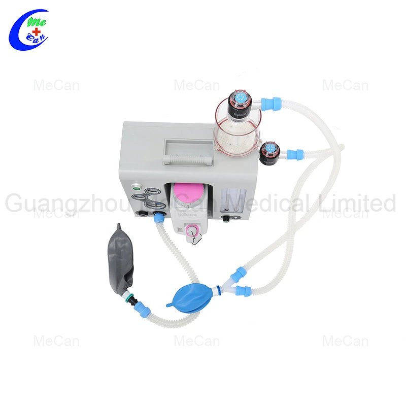 Máquina de Anestesia Veterinaria Portátil, Animal N2o Máquina de Anestesia