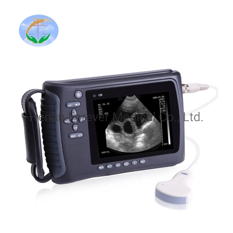 Máquina de ultrasonido veterinario portátil digital de mano aprobada de 5 pulgadas para animales como vacas, ovejas, corderos y caballos