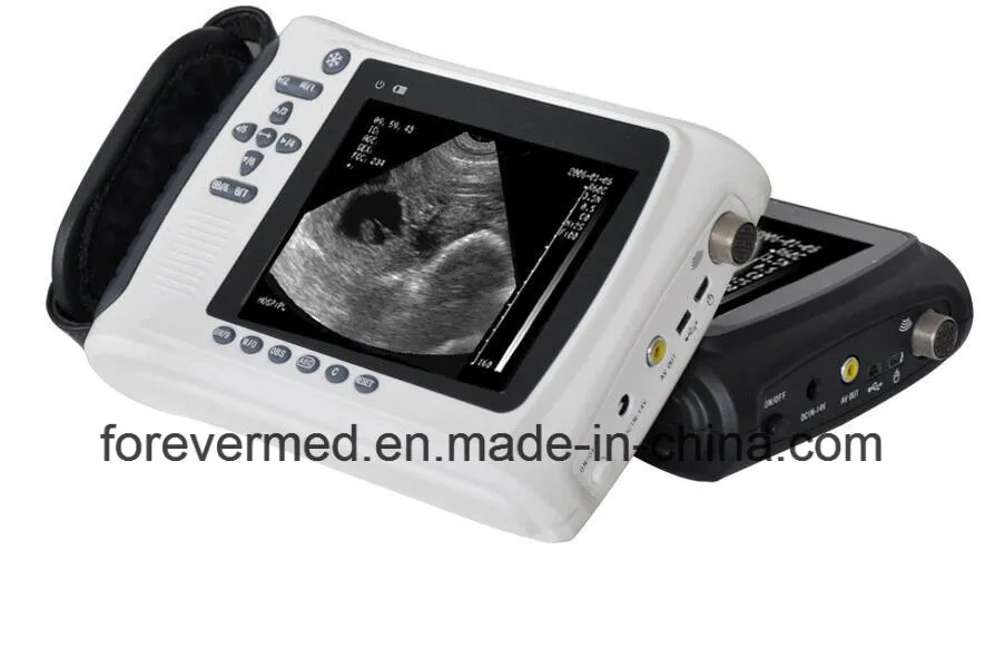 Ecógrafo veterinario portátil 1