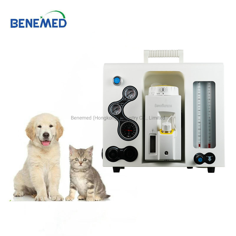 Clínica Veterinaria Equipos Veterinarios Máquina de Anestesia Portátil