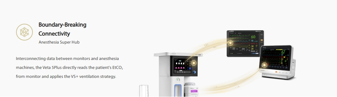 Aparato de Ventilación Médica Veterinaria Mindray Veta 5 Plus Mejor Vendedor Instrumentos de Anestesia Máquina de Anestesia
