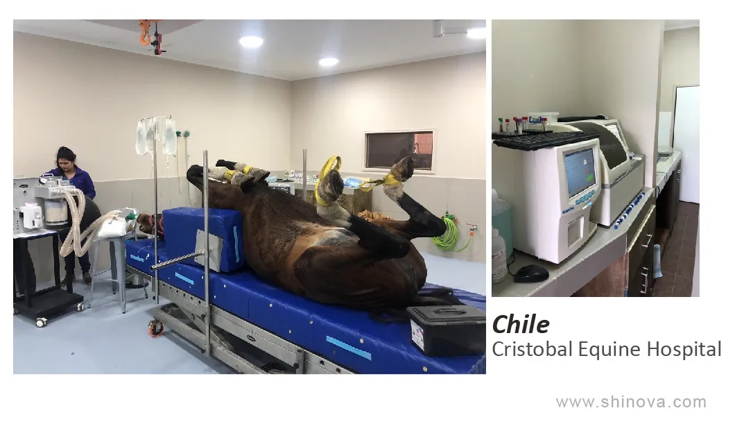 Carro de Hospital Veterinario Anecart-a Máquina de Anestesia Portátil