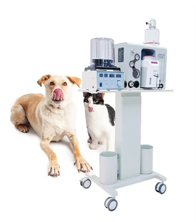 Máquina de Anestesia Portátil para Pequeños Animales con Tres Vaporizadores Tipo Carro Móvil Máquina de Anestesia Veterinaria