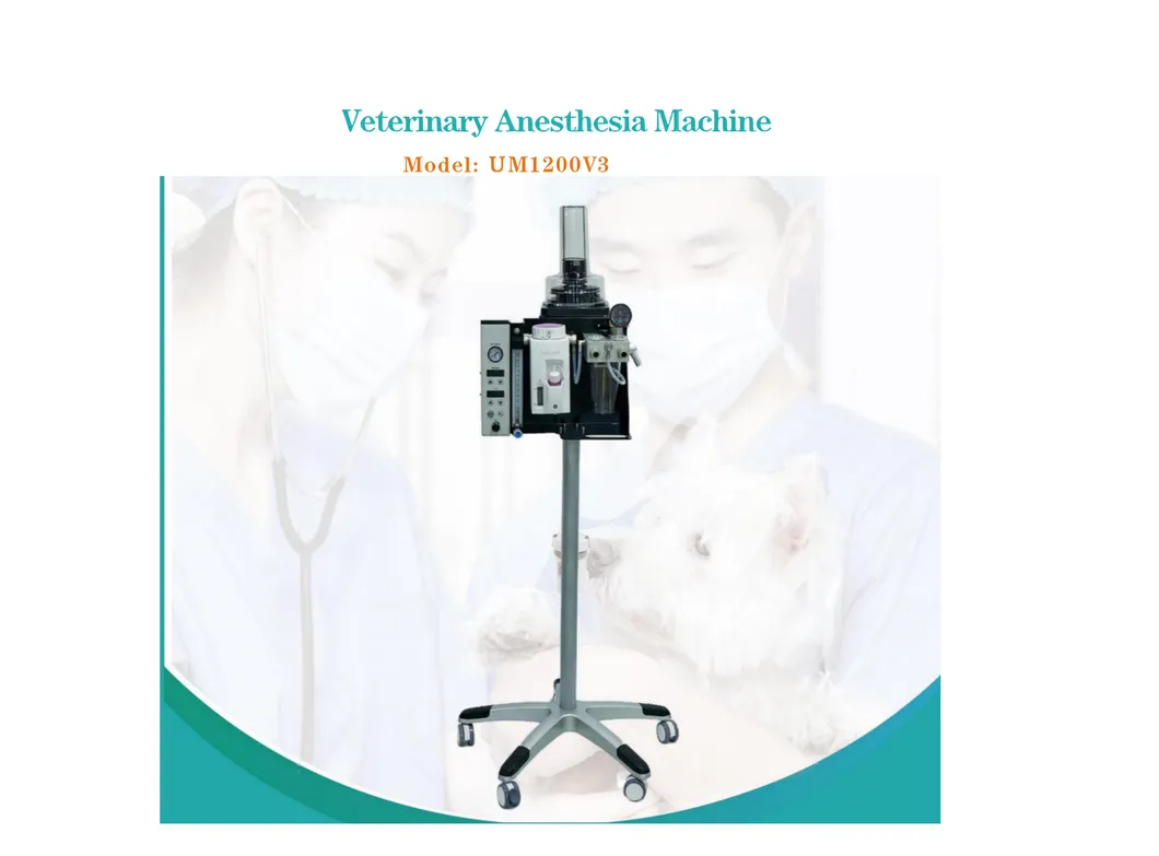Máquina de Anestesia Veterinaria