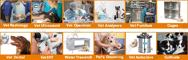 Máquina de Anestesia Veterinaria