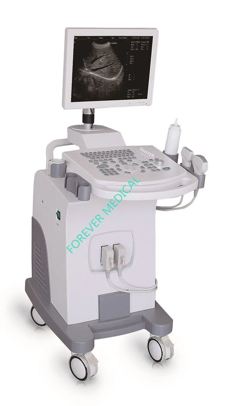 Sistema de rayos X C-Arm móvil con Fpd