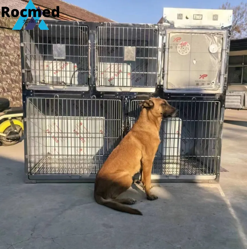 Producto relacionado 3