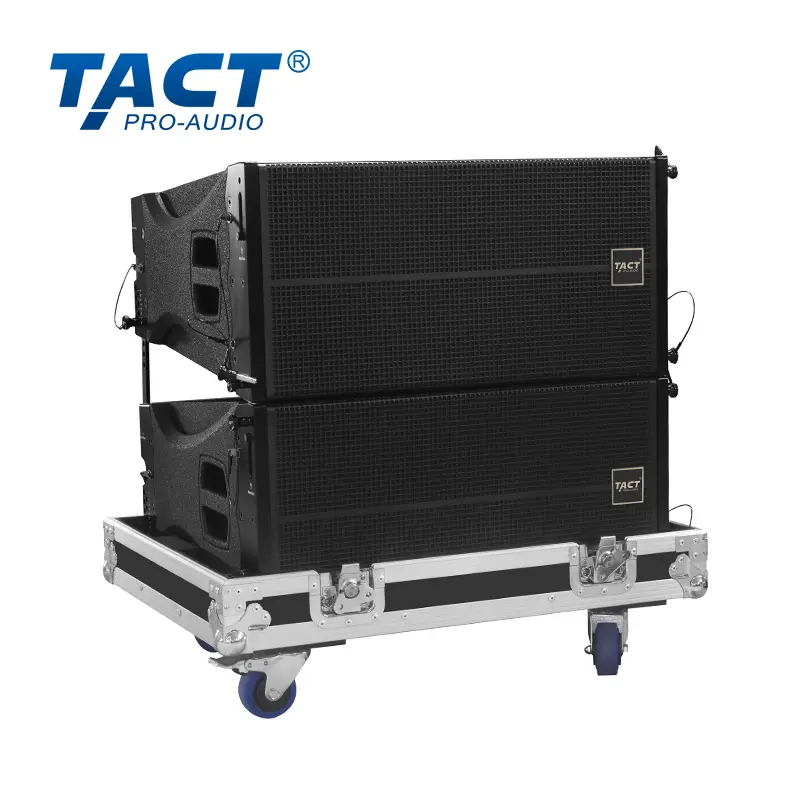 OEM Double 10 inch Line array speakers professional sound system outdoor speaker line array Line array speaker Factories, Exporter