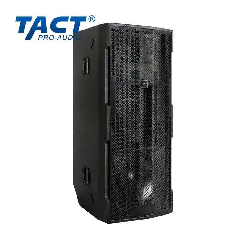 OEM High-Performance Three-Way Speaker System P325 - China Factory Suppliers for Extended Vocal Clarity and Smooth Response Factories, Factory