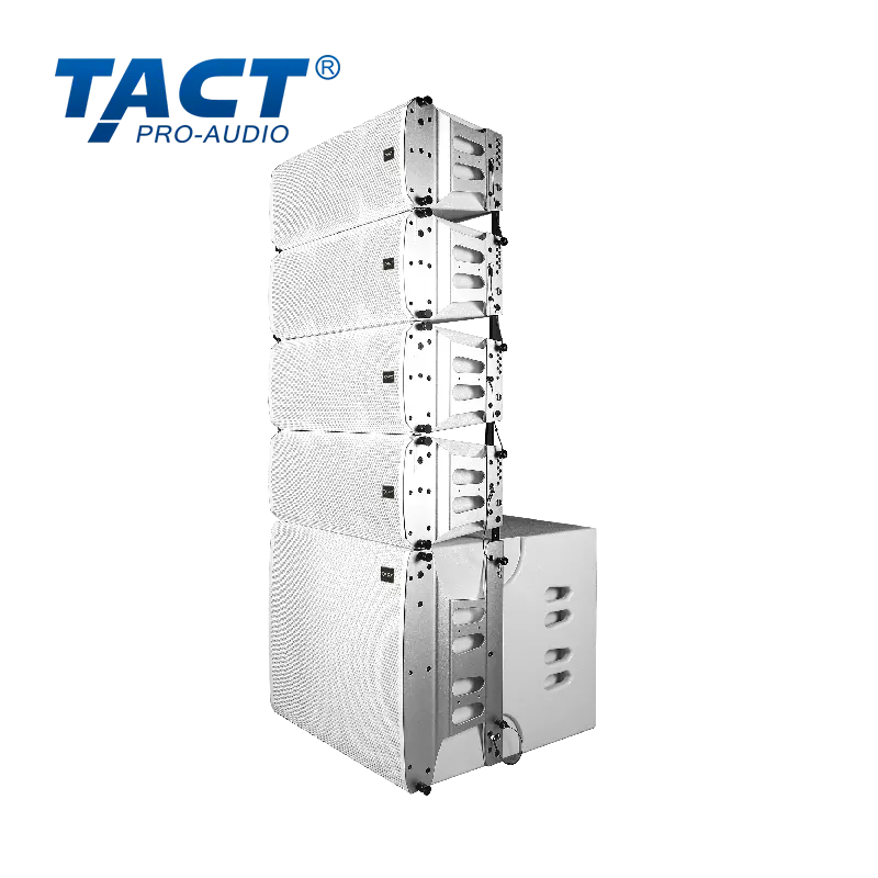 OEM High-Clarity Passive Line Array Speaker from China Factory: Dual 8 Birch for Superior Sound Distribution - Trusted Suppliers Manufacturers, Factory