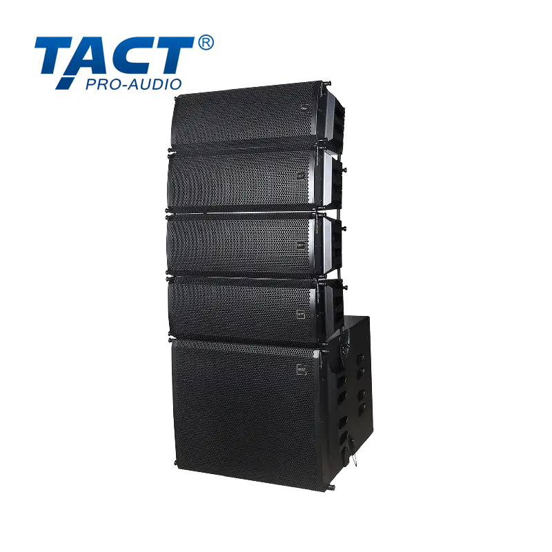 OEM High-Clarity Passive Line Array Speaker from China Factory: Dual 8 Birch for Superior Sound Distribution - Trusted Suppliers Manufacturers, Factory