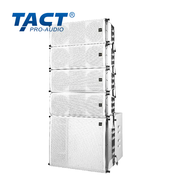 OEM High-Clarity Passive Line Array Speaker from China Factory: Dual 8 Birch for Superior Sound Distribution - Trusted Suppliers Manufacturers, Factory