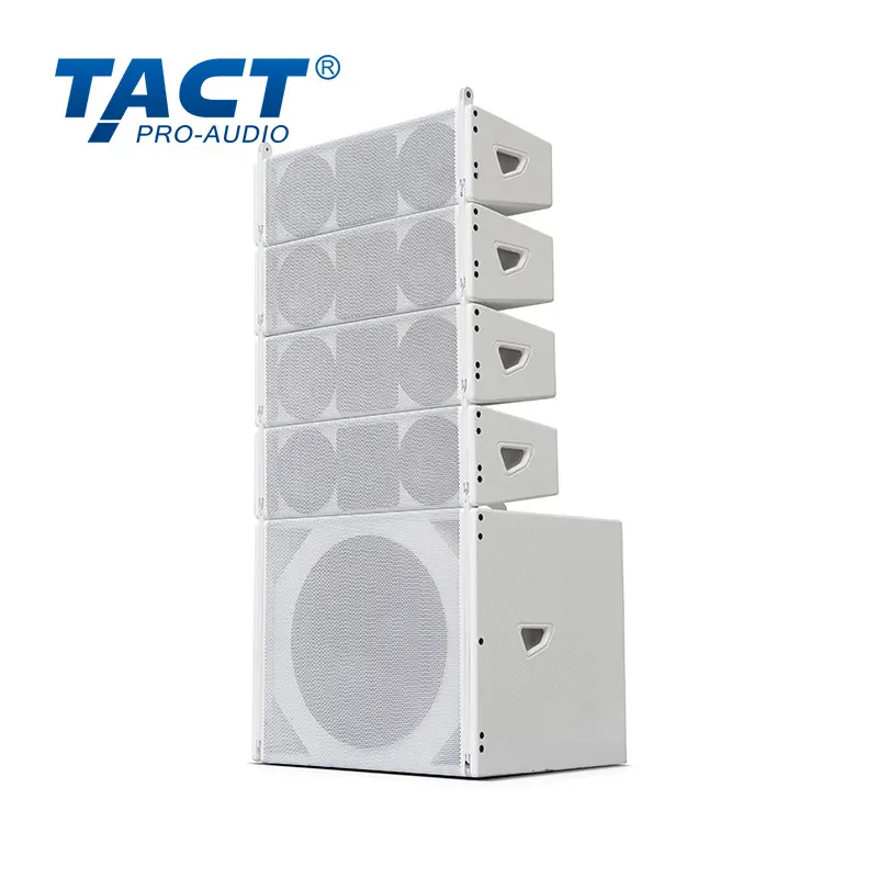 OEM Versatile Column Line Array Loudspeaker Dual 6.5" / 8" Passive Options with Constant Directivity Horn Factories, Exporters