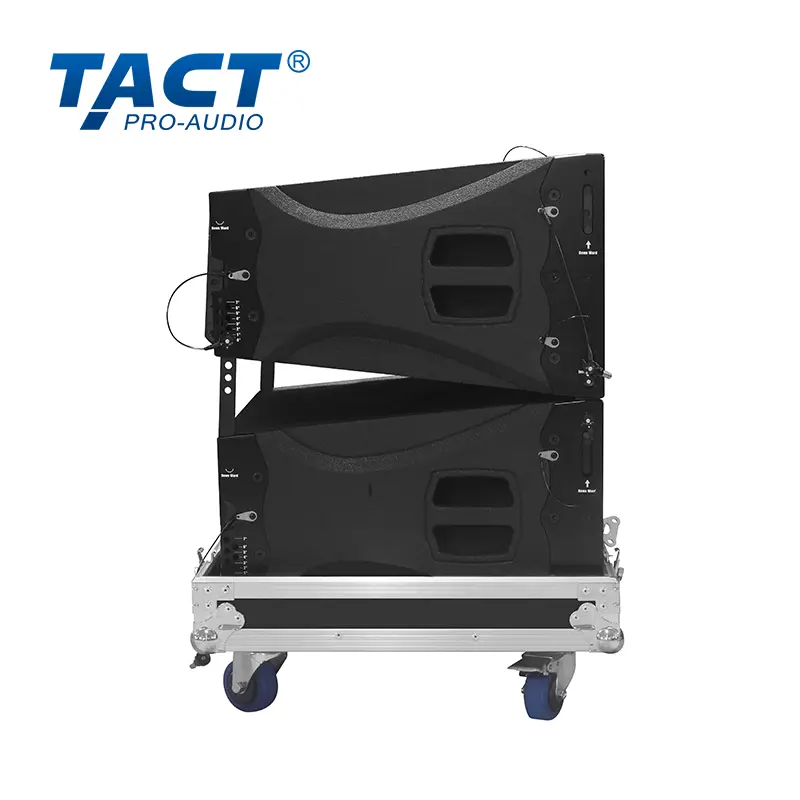 OEM Double 10 inch Line array speakers professional sound system outdoor speaker line array Line array speaker Factories, Exporter