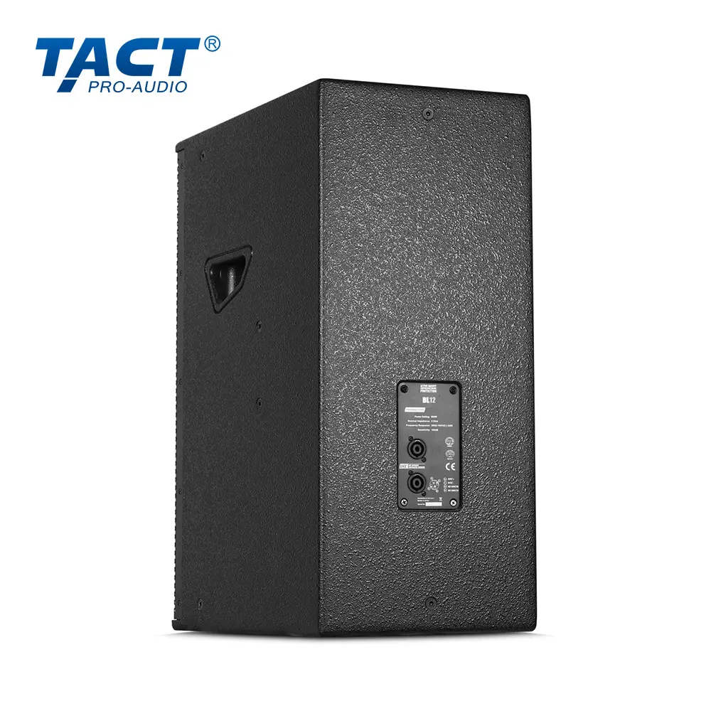 OEM Professional 10 Inch Multifunctional Speaker from China Suppliers | Durable Factory Design with Mounting Options Manufacturer, Factories