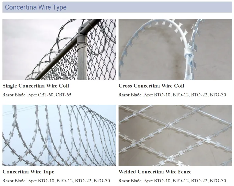 Razor Wire Detail 1