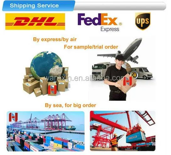 Shipping Logistics