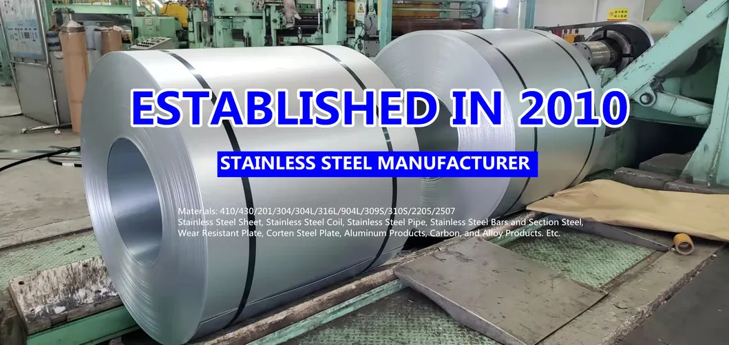Stainless Steel Strips