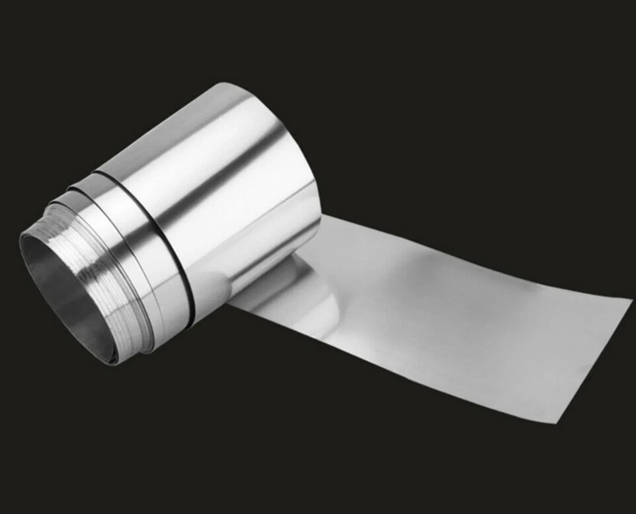 ASTM AISI SUS301 304 304L 309S 316L Stainless Steel Strips/Band/Coil/Foils