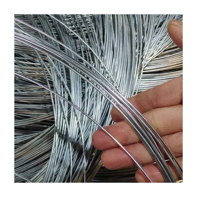 Bulk Supply Stainless Steel Wire for Engineering and Decoration
