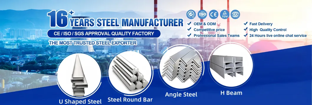 Stainless Steel Angle
