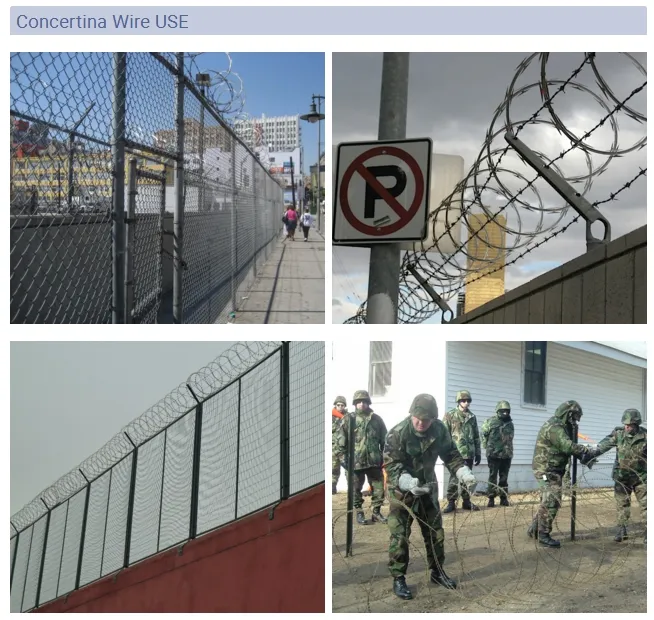 Razor Wire Detail 2
