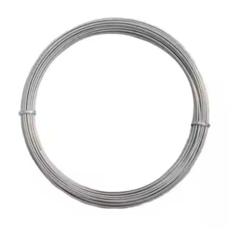 Ss410 Wires Factory AISI 304 304L 316 316L 430 201 204 Stainless Steel Round Spring Wire 0.015-6mm as Required