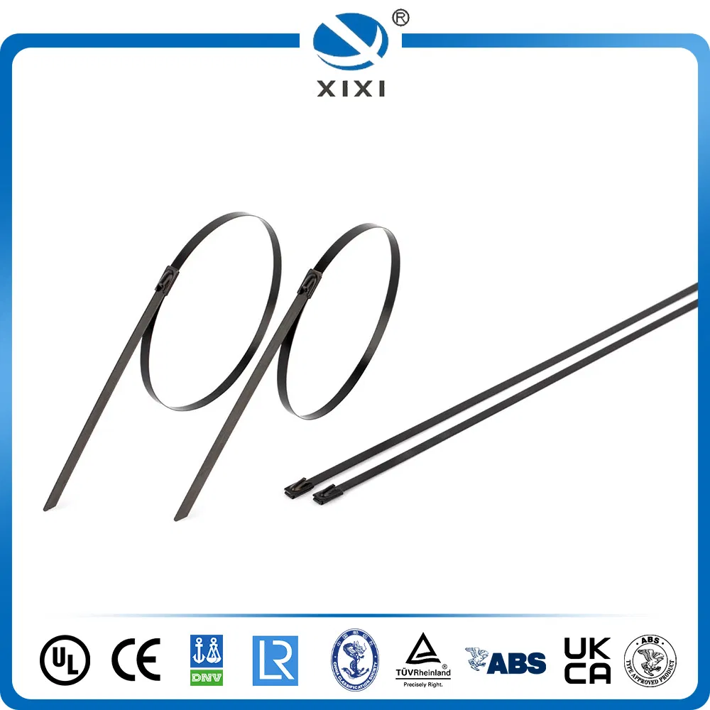 Stainless Steel Cable Tie--Durable Black Cable Tie Strips with Black Buckle