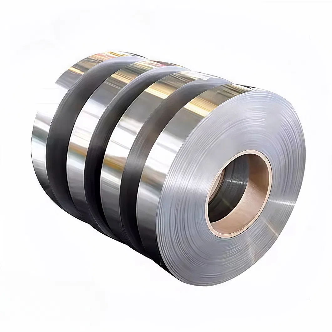Stainless Steel Strip 2