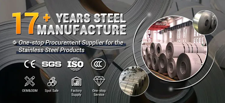 Polished Stainless Steel Metal Strip