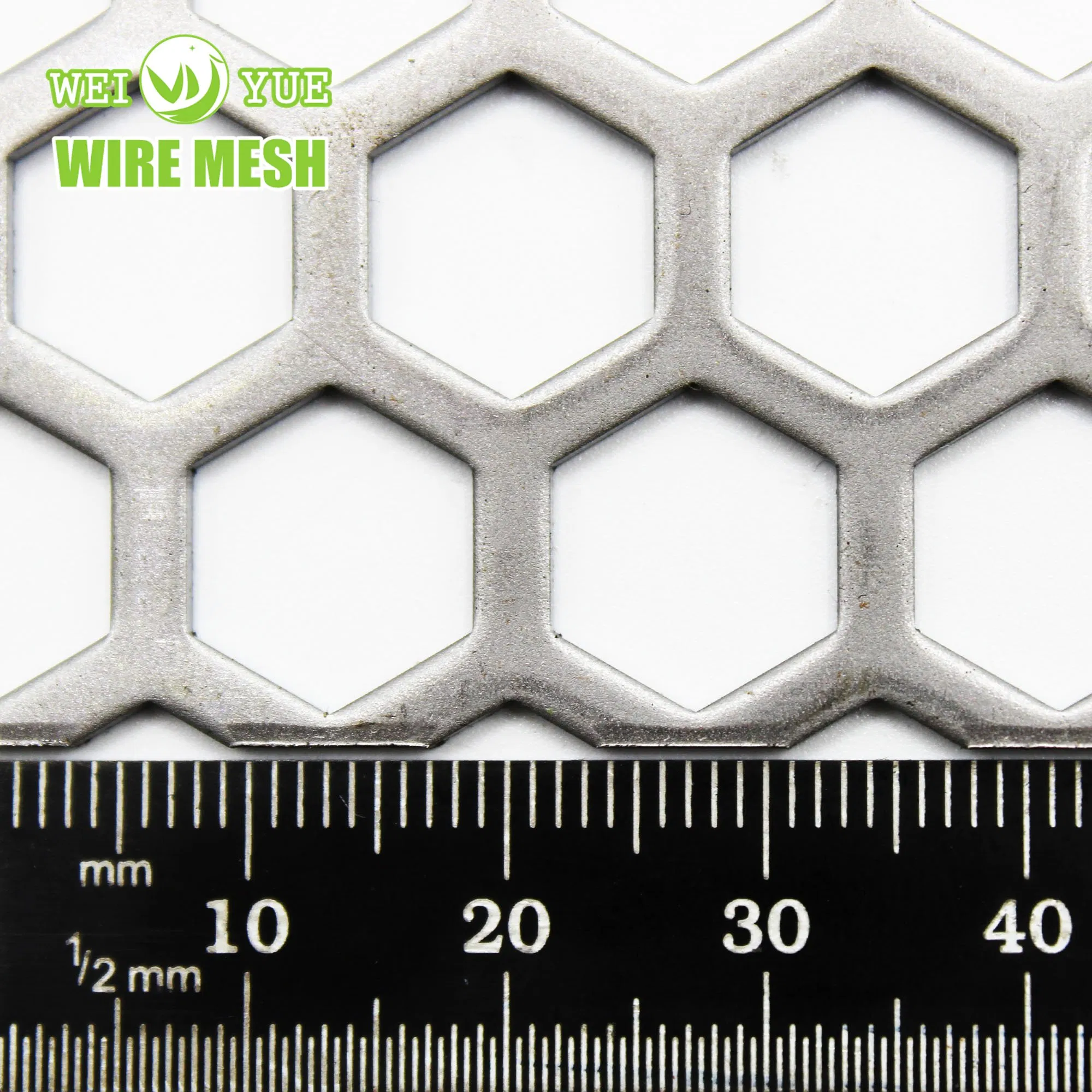 Aluminum Stainless Steel Galvanized Round, Square, Slotted, Hexagonal Perforated Metal Sheet for Wall Cladding/Building