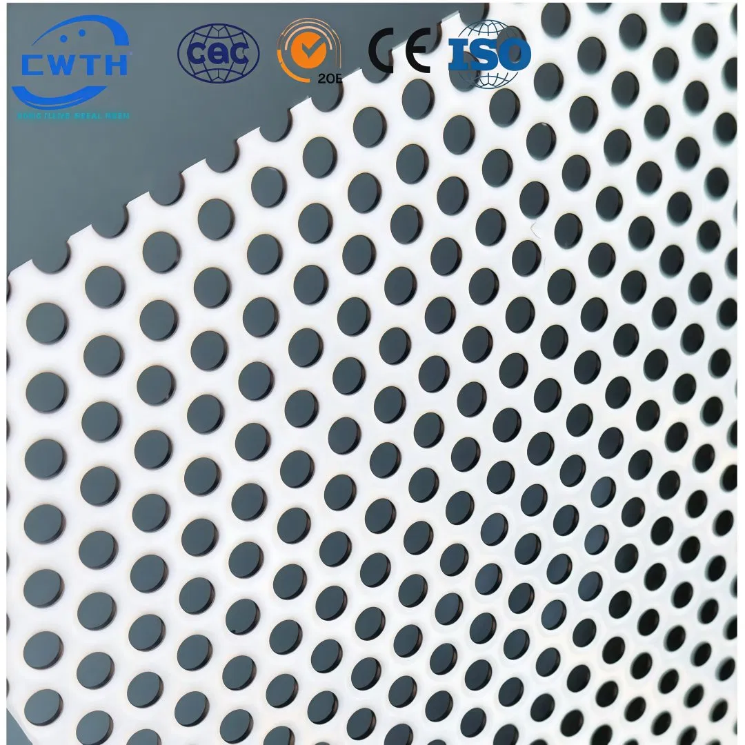 Ss Perforated Stainless Steel Hole 1X1 2.5mm Plate Perforated Stainless Steel Sheet
