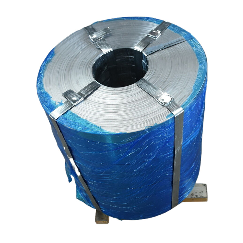 China Custom Gi Color Coated 0.2mm-3mm Stainless Steel Silver with Galvanized Steel Coil Steel Strip