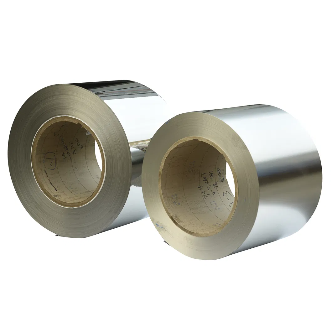 Stainless Steel Strip 2