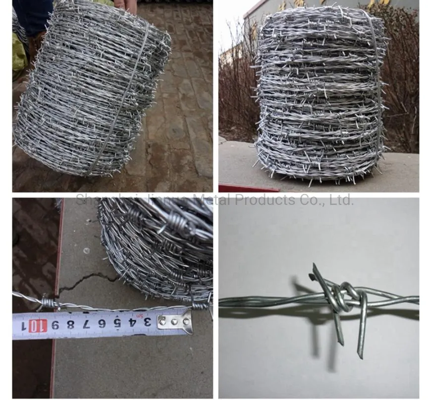 Barbed Wire Detail 4