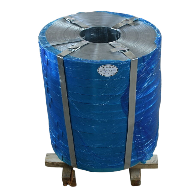 China Custom Gi Color Coated 0.2mm-3mm Stainless Steel Silver with Galvanized Steel Coil Steel Strip