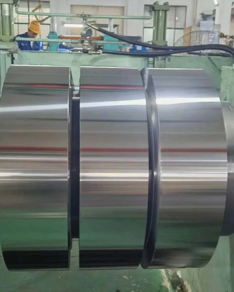 AISI 321/304/316 Precision Stainless Steel Strip En1.4541/1.4301/1.4401 Cold Rolled strip